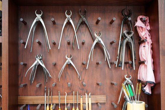 Pruning tools hanging from pegs on a wooden wall. 